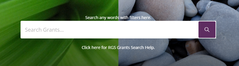 RGS Grants Search freetext field